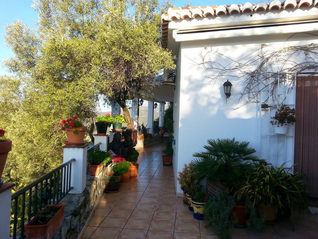 Villa Andalucia Competa Bilik gambar